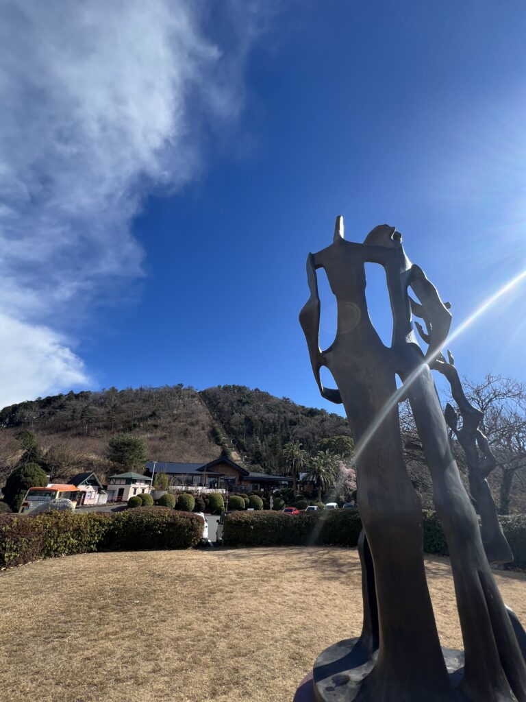 IE 1　IMG 3217 768x1024